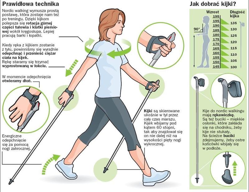 Nordic walking dla początkujących
