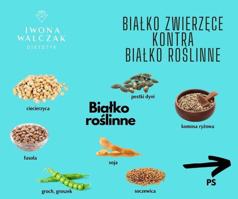Alternatywy dla białka po treningu – co wybrać?