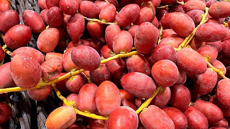 Czy daktyle mogą wpłynąć na twoją wagę? Oto co warto wiedzieć