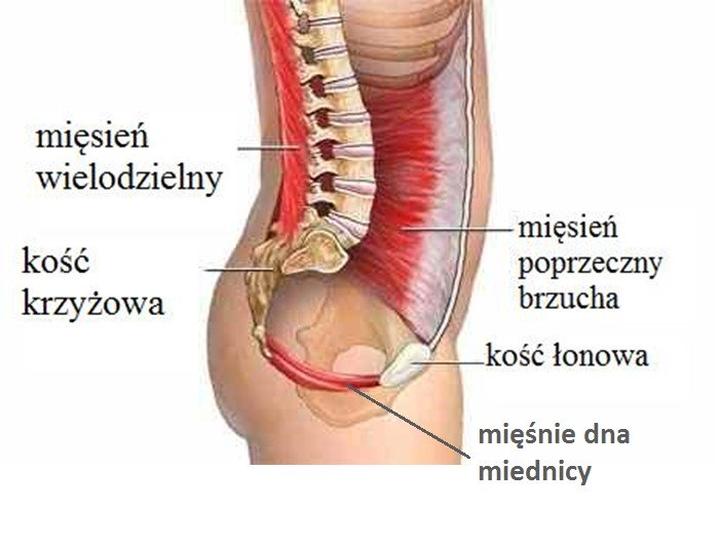 Ćwiczenia na mięśnie głębokie