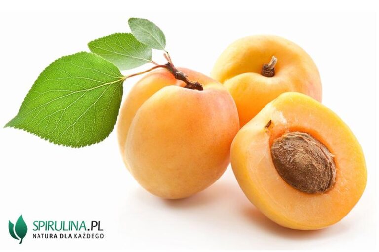 Czy morele naprawdę tuczą, czy to tylko mit? Sprawdź, co mówią badania!