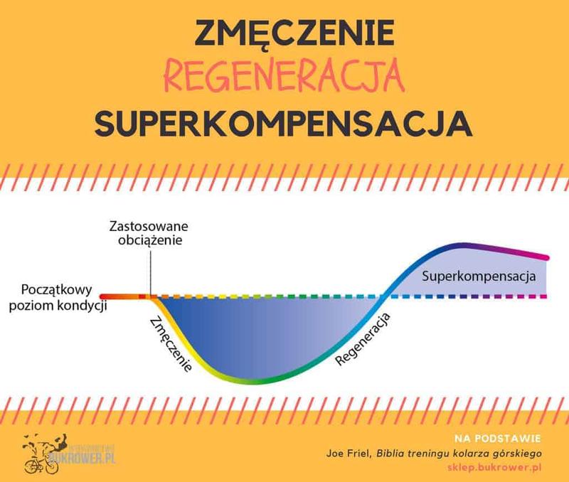 Zdrowe posiłki po treningu
