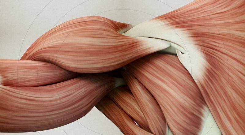 Rozluźnianie spiętych mięśni