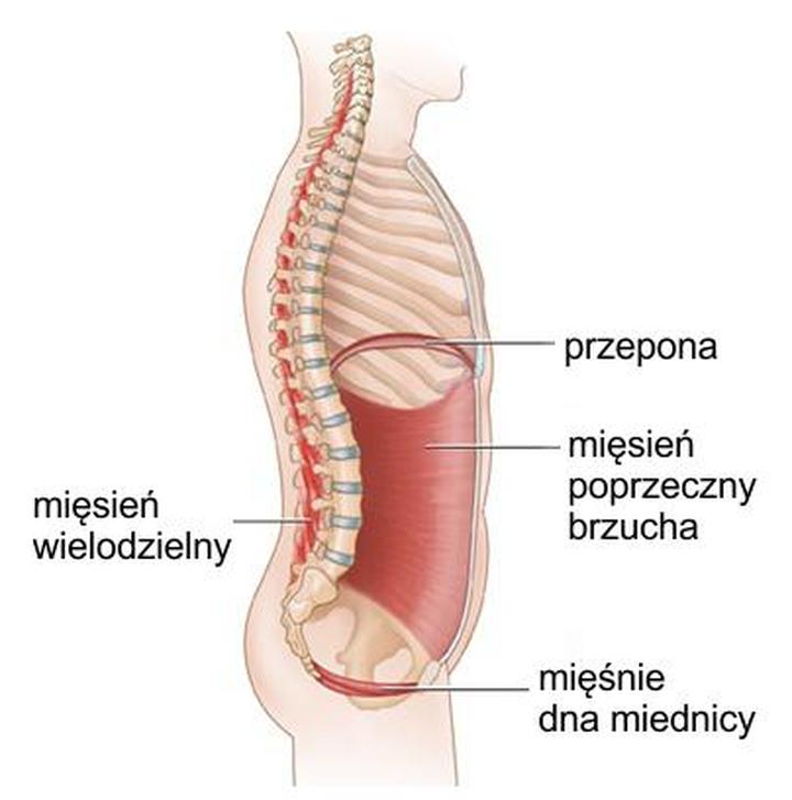 Trening mięśni core