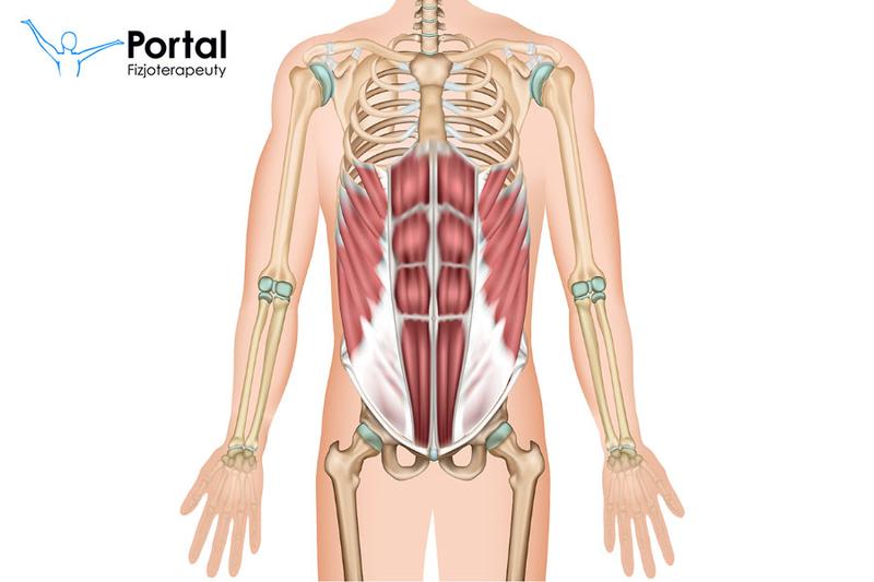 Sekrety mięśni core – dlaczego są kluczowe dla Twojej sprawności?