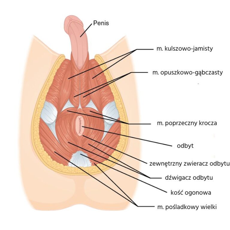 Skuteczne sposoby na wzmocnienie mięśni pochwy i poprawę komfortu intymnego